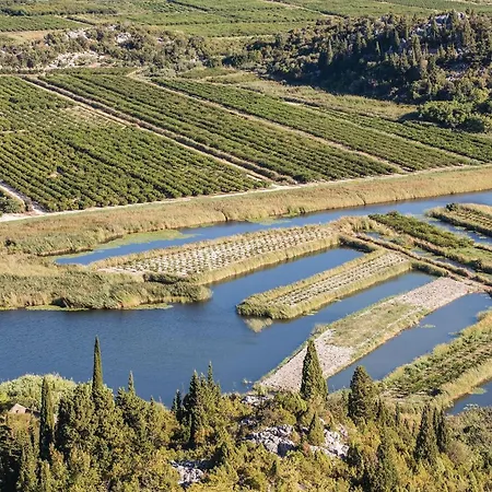 In With Wifi Stasevica