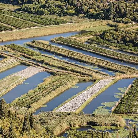 In With Wifi * Stasevica