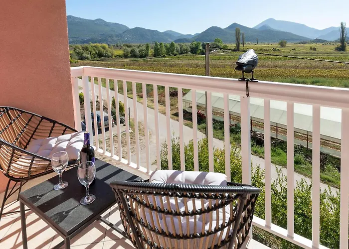 In With Wifi * Stasevica