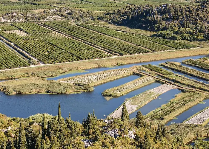 In With Wifi Stasevica