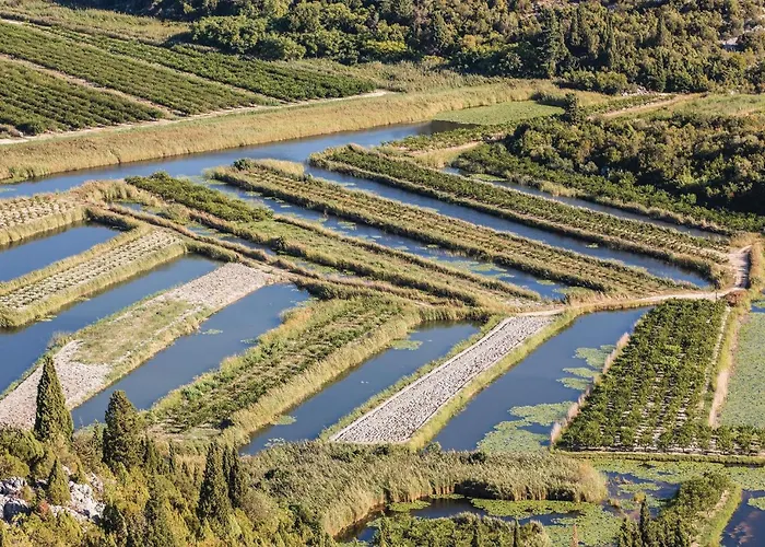 In With Wifi * Stasevica