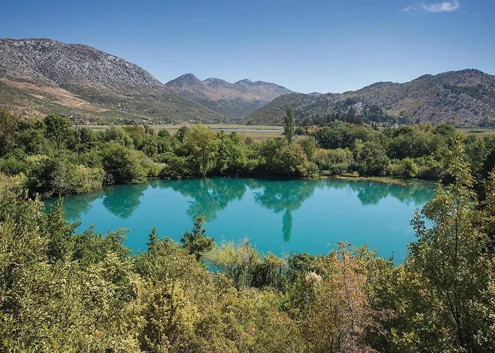 In With Wifi Apartment